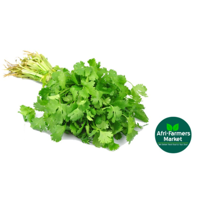 Coriander
